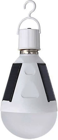 Eurolamp Κρεμαστό Ηλιακό Φωτιστικό 7W 630lm με Ψυχρό Λευκό Φως 6500K IP65 145-20003