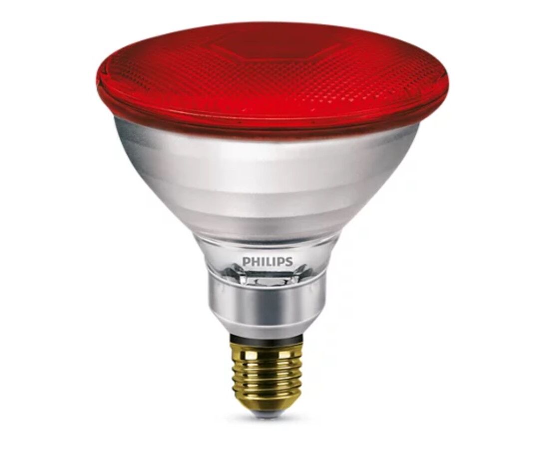 PHILIPS Λάμπα Incandescent για Ντουί E27 175W Par38 Red 8711500600530