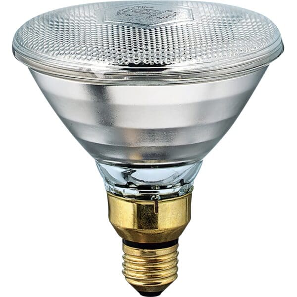 PHILIPS Λάμπα Incandescent για Ντουί E27 175W Par38 CLEAR 8711500115799