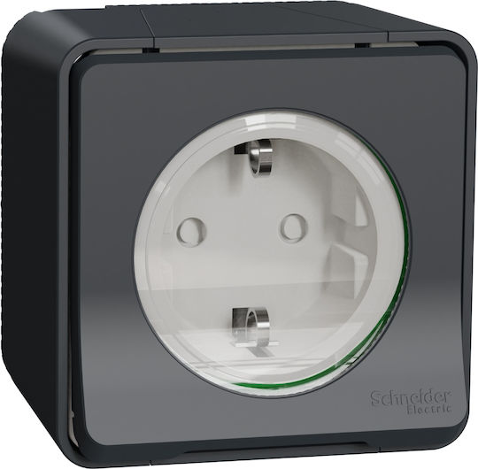 Schneider Electric Mureva Styl Μονή Εξωτερική Πρίζα Ρεύματος Στεγανή με Καπάκι Γκρι MUR36034