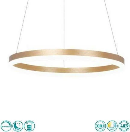 Sun Light Ρυθμιζόμενο Κρεμαστό Φωτιστικό Χρυσό LED με Ρυθμιζόμενο Λευκό Φως 51εκ. D88059/1 - second view