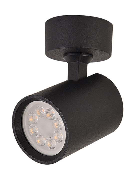 Zambelis Lights S104